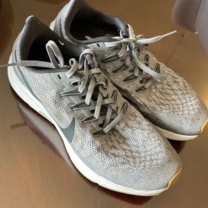 Mens Nike Pegasus 36